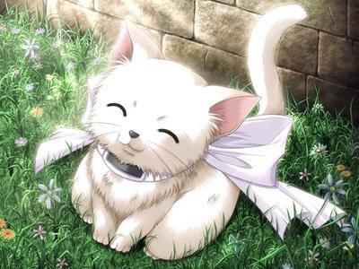11.chachat